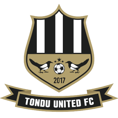Logo: Tondu United FC